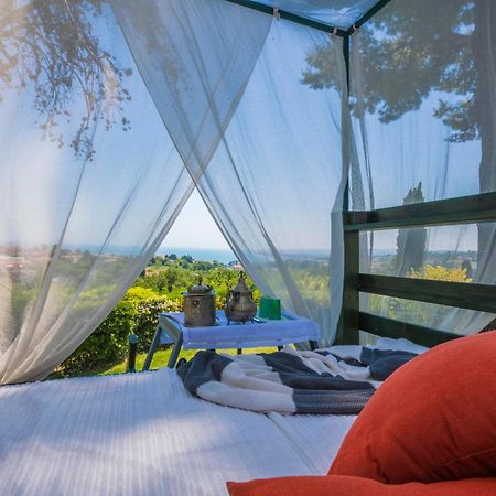 Tra Gli Alberi E Il Mare Bed & Breakfast Sirolo Exterior photo