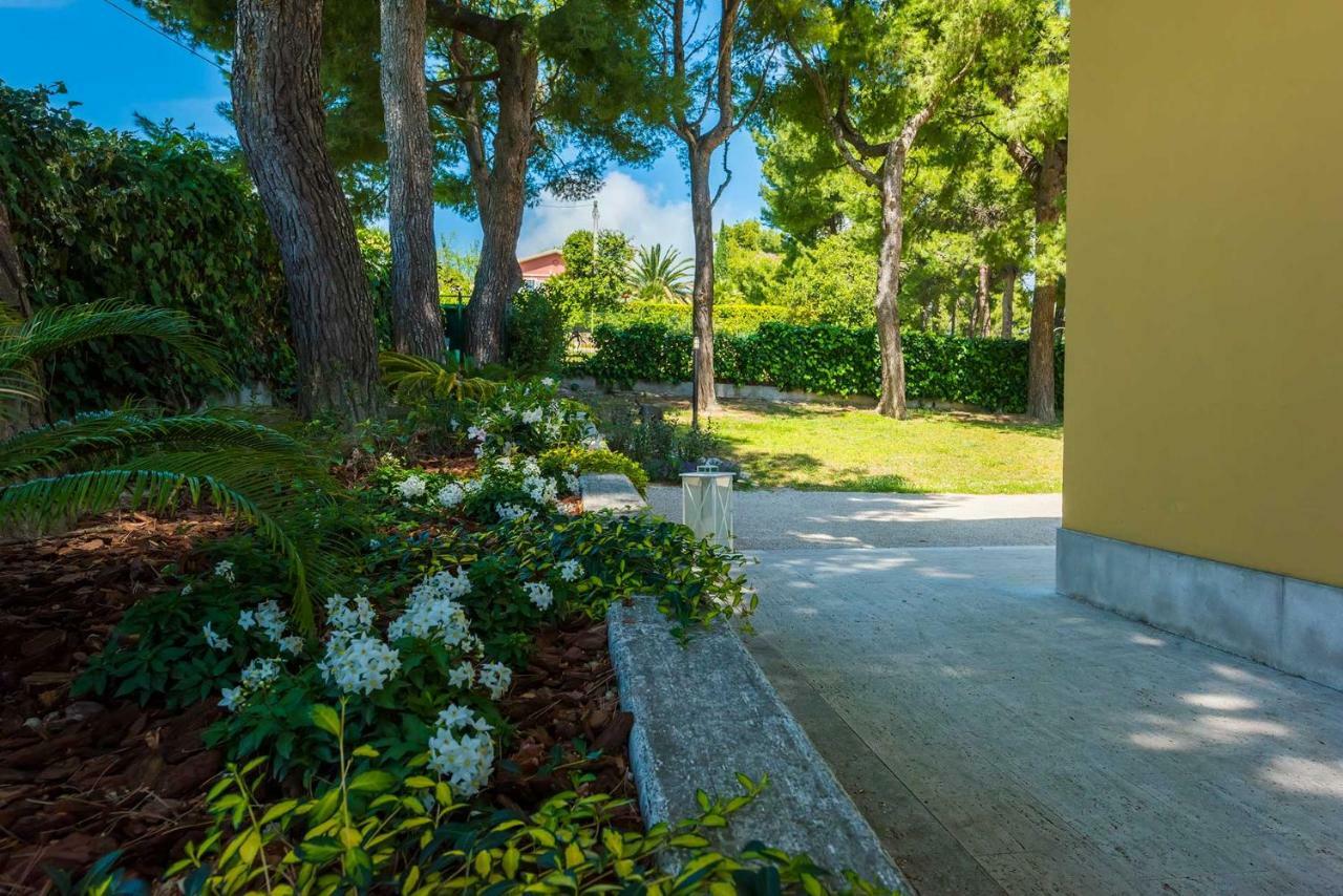 Tra Gli Alberi E Il Mare Bed & Breakfast Sirolo Exterior photo
