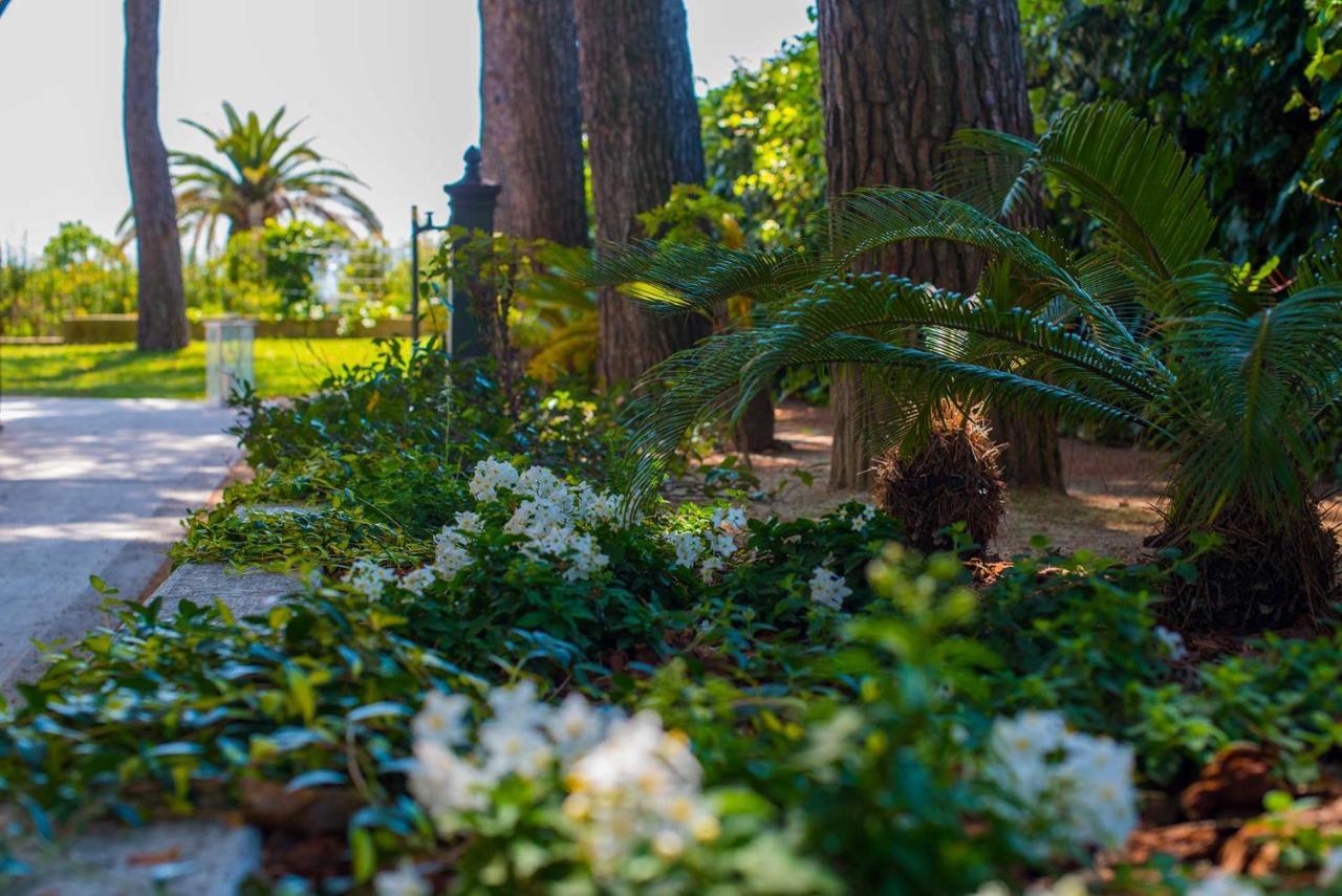 Tra Gli Alberi E Il Mare Bed & Breakfast Sirolo Exterior photo