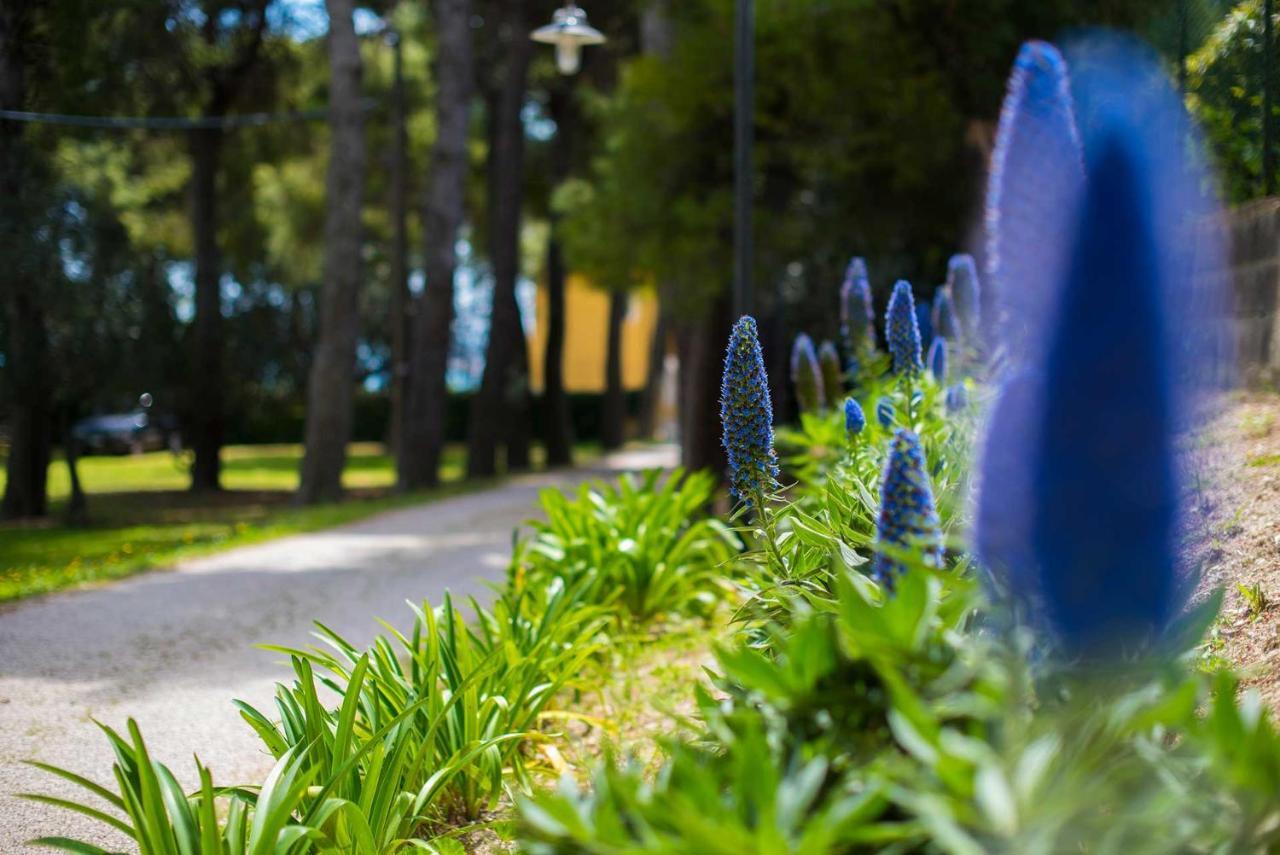 Tra Gli Alberi E Il Mare Bed & Breakfast Sirolo Exterior photo